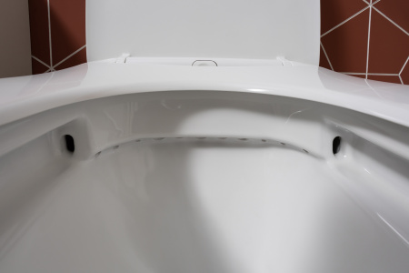 Унитаз Aquanet Rimless Cetus 2.0 C1 LX-2903