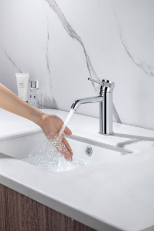 Смеситель Allen Brau Priority 5.31A01-00 хром Смеситель Allen Brau Priority 5.31A01-00 хром