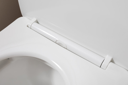 Унитаз Aquanet Rimless Cetus 2.0 C1 LX-2903