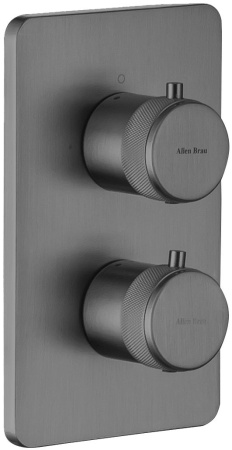 Смеситель Allen Brau Priority 5.31213-MG (с внутренней частью) графит браш