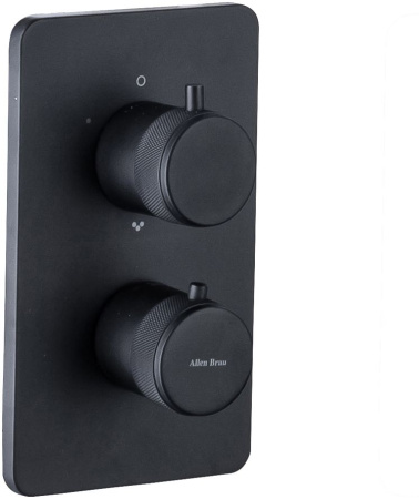 Смеситель Allen Brau Priority 5.31213-31 (с внутренней частью) черный матовый