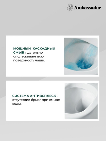 Унитаз Ambassador Forsa 243K19003S (475*360*350) подвесной , 2 места