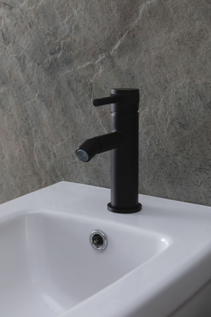 Смеситель Allen Brau Priority 5.31004-31 (с донным клапаном) черный матовый