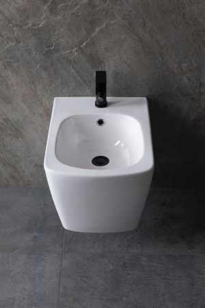 Биде Allen Brau Liberty 4.33005.20 белый глянец