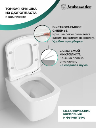 Унитаз Ambassador Kingston 143K19003RS (500*360*354) подвесной безободковый, 2 места