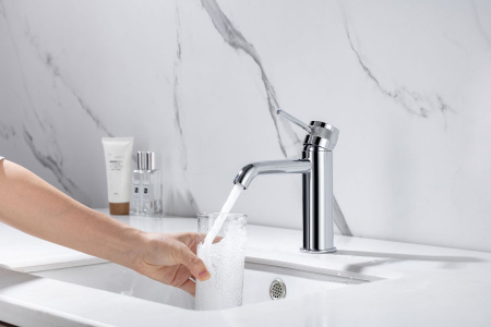 Смеситель Allen Brau Priority 5.31A01-00 хром Смеситель Allen Brau Priority 5.31A01-00 хром