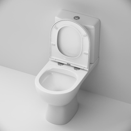 Унитаз AM.PM Sunny FlashClean C85C8600SC с бачком и сиденьем Микролифт