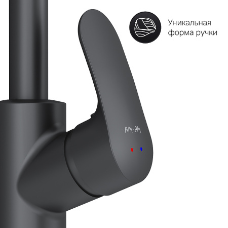 Смеситель для кухонной мойки AM.PM Like F8005722 Черный