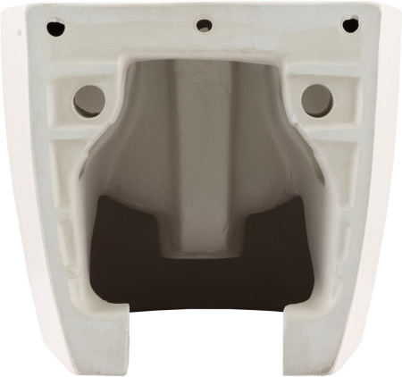 Биде Allen Brau Fantasy 4.11006.SM розовый Биде Allen Brau Fantasy 4.11006.SM розовый