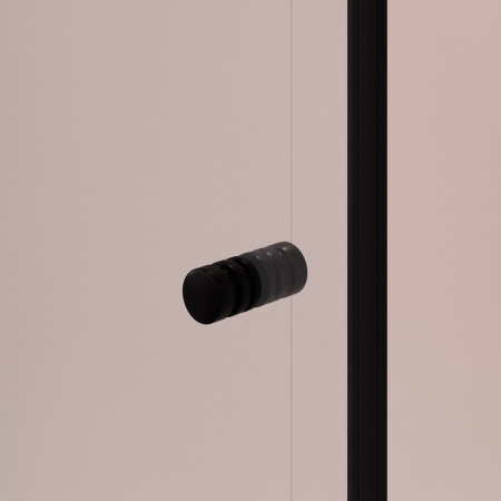 Душевая дверь в нишу RGW PA-02B NEW 1200