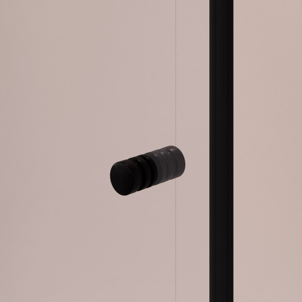 Душевая дверь в нишу RGW PA-02B NEW 1200