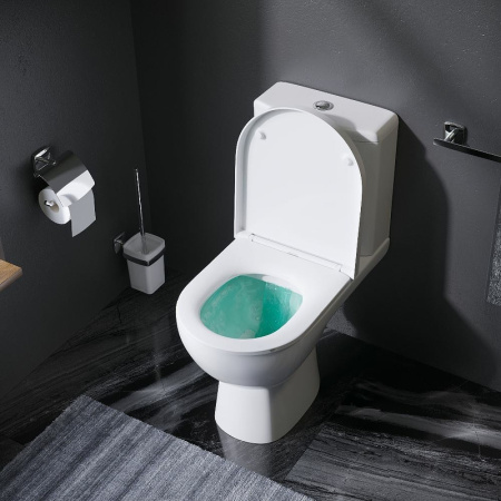 Унитаз AM.PM Sunny FlashClean C85C8600SC с бачком и сиденьем Микролифт