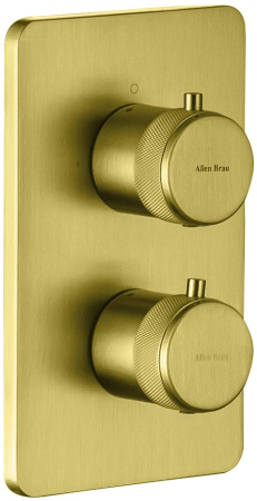 Смеситель Allen Brau Priority 5.31213-GB (с внутренней частью) золото