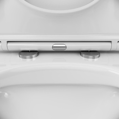 Унитаз AM.PM Sunny FlashClean C85C8600SC с бачком и сиденьем Микролифт