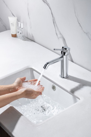 Смеситель Allen Brau Priority 5.31A01-00 хром Смеситель Allen Brau Priority 5.31A01-00 хром